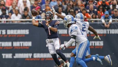 Bears trying to avoid perpetual rebuilding phase where Lions live