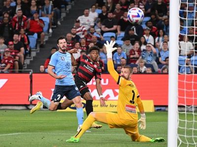 Ninkovic has last laugh over Sydney in ALM