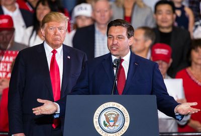 Trump's DeSantis rant lands in court