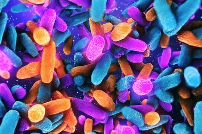 Modified bacteria can clean up pollution