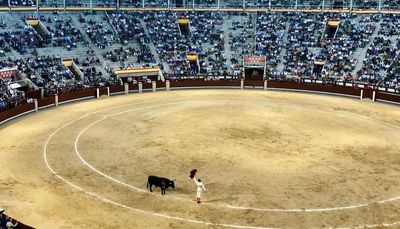 Is bullfighting a sport?