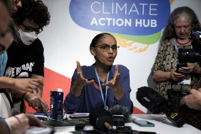 Brazil will be climate leader, says ex-minister Marina Silva