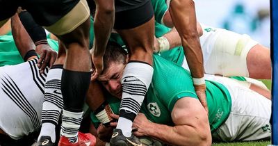 Ireland brush Fiji aside as rotated line-up notch five tries to maintain winning streak