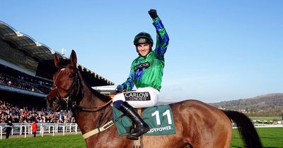 Ga Law a poignant Cheltenham winner for a group of friends in Paddy Power Gold Cup