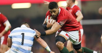 Wales v Argentina player ratings as Faletau, North and Tipuric just immense