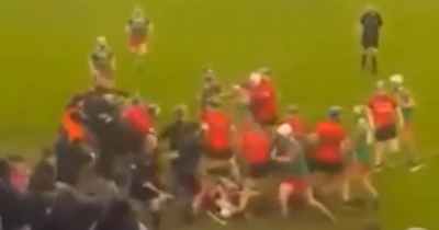 Ugly scenes between Naomh Barróg and Oulart the Ballagh as fight breaks out and spills over into stand