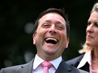 New Guy but Vic coalition face same woes