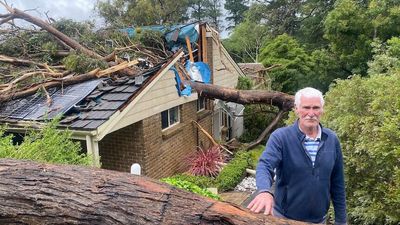 Wild storms force closure of more than 50 Adelaide schools, tens of thousands left without power