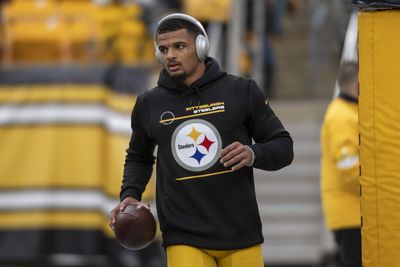 Steelers S Minkah Fitzpatrick to miss several weeks after appendectomy