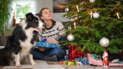 Pet Owners Agree That Their Animals Make The Holidays Better