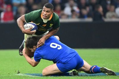 Marseille pre-Rugby World Cup experience 'great' despite loss for Willemse's Boks