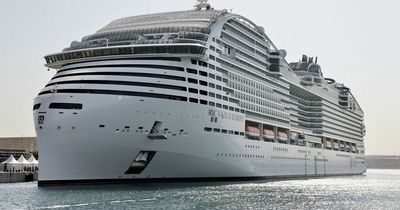 Cruise passenger moans about 'really annoying' problem with sea view balcony