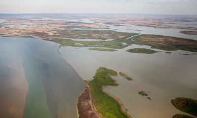 ‘They’re coming back’: huge flows set to restore life to parched end of Murray-Darling system