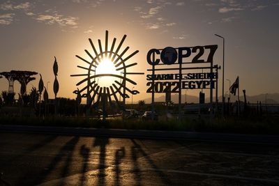 UN probes Egypt police misconduct claims at climate talks