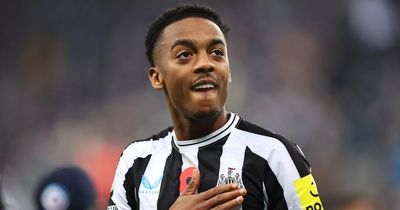 Joe Willock steps out of the shadows to become Newcastle's hero to light Champions League ambition