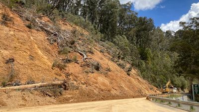 Landslide will take months to clear in Victoria's alpine region with 'no quick fix', as businesses count the cost