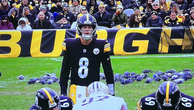 A sea of pigeons took over the field in Steelers-Saints and they just wouldn’t go away