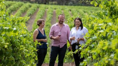 Clare Valley winemakers and their role in taking the global wine industry from cork to screw cap