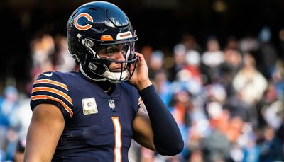 Bears miss chance at progress in loss to Lions as most reliable players falter late