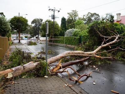 Power outages continue in SA after storms