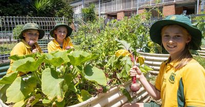 Massive green thumbs up for school kids putting sustainability first