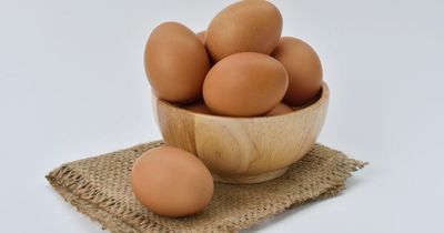 Expert says eating eggs can help quickly cure a hangover