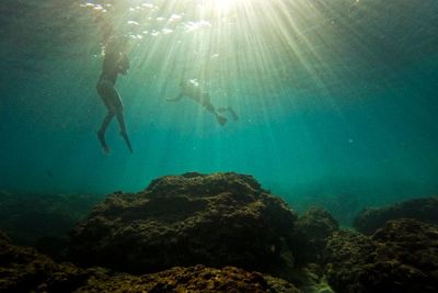 Israel rushes to protect marine life as Mediterranean warms