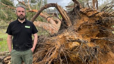 As storm clean-up continues, dozens of SA schools to remain closed on Tuesday