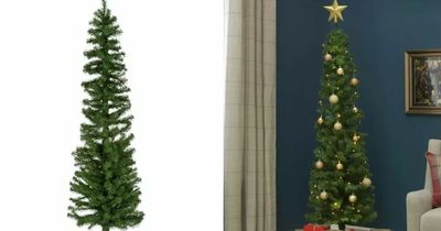 Argos shoppers go wild for 'space saving' Christmas tree that's 'easy to put up'