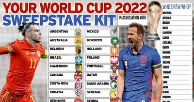 World Cup 2022 sweepstake: Download your FREE kit here as England bid for glory