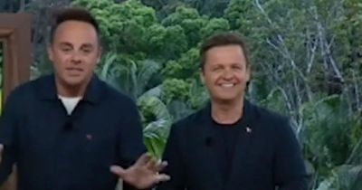 Ant and Dec suffer I'm A Celebrity 'blast from the past' moments into show
