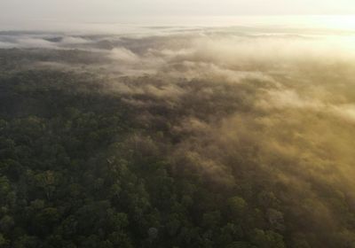 Biggest rainforest nations form triple alliance to save jungle