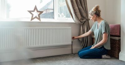 Heating expert shares radiator hack that could save you £600 a year - using a hairdryer