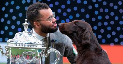 Paws everything dog lovers! Crufts tickets are now on sale with an early bird discount