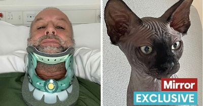 Man with 'car crash' injuries is 'lucky to be alive' after tripping over hairless pet cat