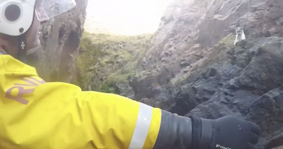 Watch as Scots RNLI crew rescue stricken dog from bottom of cliffs on 'dangerous' coastline