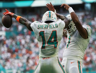 Best photos from Dolphins’ Week 10 win over the Browns