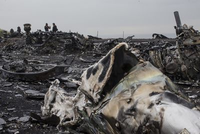 Victims' families want judges to clarify Russian role in MH17 downing