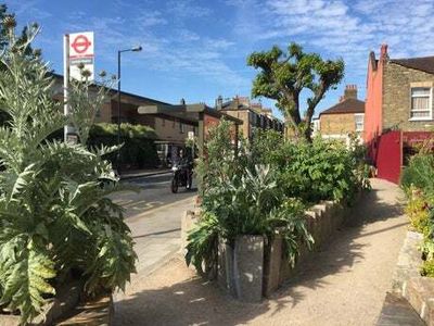 De-paving London: the benefits of removing concete slabs in cities — from increasing biodiversity to reducing flooding