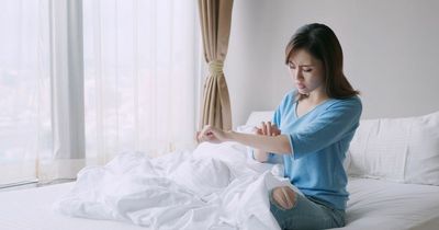 UK invaded by blood-sucking bed bugs - and here's how get rid of them