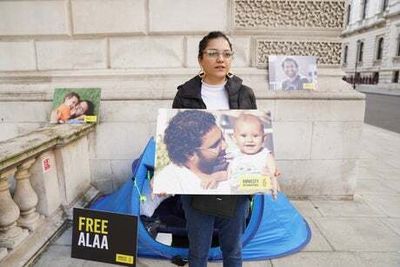 Alaa Abdel-Fattah: Jailed British-Egyptian activist is still alive, says sister