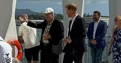 Prince Harry seen wearing poppy in solo Remembrance Sunday appearance at Pearl Harbor