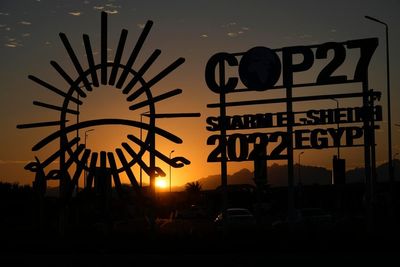 Egypt calls reports of surveillance at COP27 'ludicrous'