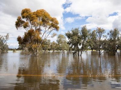 Two missing in flood-hit NSW town