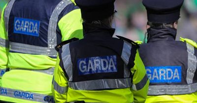 Garda suffers multiple injuries in violent Dublin city centre attack while on duty