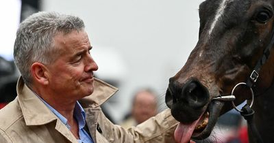 Ryanair boss Michael O'Leary back spending millions on racehorses after going cold turkey