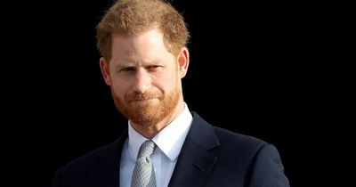Prince Harry KEEPS key role as King Charles shakes up duties within the Royal Family