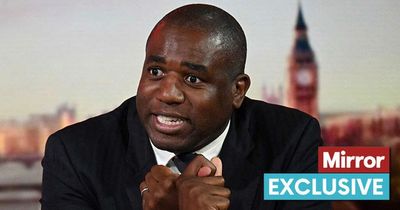 Climate criminals will be punished under new Labour law, David Lammy to tell Cop27