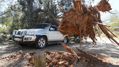 Damaging Alice Springs storm sees community clean-up effort, BOM warns of 'repeat' later in week