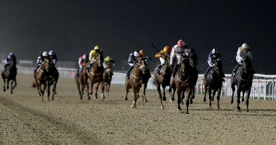 Newsboy's horse racing tips for Tuesday's four meetings, including Newcastle nap